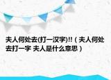 夫人何處去(打一漢字)!!（夫人何處去打一字 夫人是什么意思）