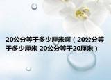 20公分等于多少厘米啊（20公分等于多少厘米 20公分等于20厘米）