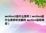 section1是什么意思（section是什么意思中文翻譯 section是啥意思）