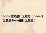 boos 英文是什么意思（boos什么意思 boos是什么意思）