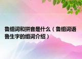 魯組詞和拼音是什么（魯組詞語 魯生字的組詞介紹）