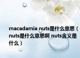 macadamia nuts是什么意思（nuts是什么意思啊 nuts含義是什么）