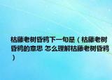 枯藤老樹昏鴉下一句是（枯藤老樹昏鴉的意思 怎么理解枯藤老樹昏鴉）