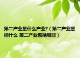 第二產(chǎn)業(yè)是什么產(chǎn)業(yè)?（第二產(chǎn)業(yè)是指什么 第二產(chǎn)業(yè)包括哪些）