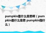 pumpkin是什么意思?。╬umpkin是什么意思 pumpkin指什么）