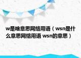 w是啥意思網(wǎng)絡用語（wsn是什么意思網(wǎng)絡用語 wsn的意思）