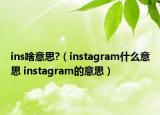 ins啥意思?（instagram什么意思 instagram的意思）