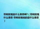 帶刺玫瑰是什么意思啊?（帶刺玫瑰什么意思 帶刺玫瑰說的是什么意思）