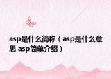 asp是什么簡稱（asp是什么意思 asp簡單介紹）