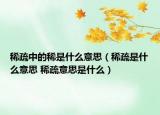 稀疏中的稀是什么意思（稀疏是什么意思 稀疏意思是什么）