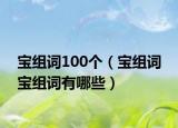 寶組詞100個（寶組詞 寶組詞有哪些）