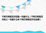 千樹萬樹梨花開后面一句是什么（千樹萬樹梨花開的上一句是什么呀 千樹萬樹梨花開出自哪）