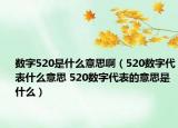 數(shù)字520是什么意思?。?20數(shù)字代表什么意思 520數(shù)字代表的意思是什么）