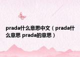 prada什么意思中文（prada什么意思 prada的意思）