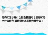 黑枸杞泡水是什么顏色的圖片（黑枸杞泡水什么顏色 黑枸杞泡水的顏色是什么）