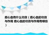 鹿心血有什么功效（鹿心血的功效與作用 鹿心血的功效與作用有哪些）