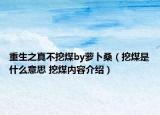 重生之真不挖煤by蘿卜桑（挖煤是什么意思 挖煤內(nèi)容介紹）