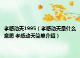 孝感動天1995（孝感動天是什么意思 孝感動天簡單介紹）