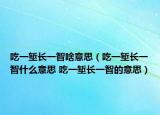 吃一塹長一智啥意思（吃一塹長一智什么意思 吃一塹長一智的意思）