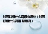 爸可以組什么詞語有哪些（爸可以組什么詞語 爸組詞）