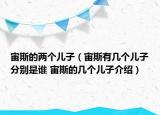 宙斯的兩個(gè)兒子（宙斯有幾個(gè)兒子分別是誰 宙斯的幾個(gè)兒子介紹）