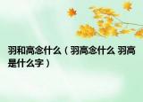 羽和高念什么（羽高念什么 羽高是什么字）