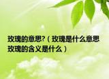 玫瑰的意思?（玫瑰是什么意思 玫瑰的含義是什么）