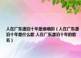 人在廣東漂泊十年是誰唱的（人在廣東漂泊十年是什么歌 人在廣東漂泊十年的歌名）