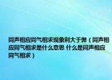 同聲相應(yīng)同氣相求現(xiàn)象利大于弊（同聲相應(yīng)同氣相求是什么意思 什么是同聲相應(yīng)同氣相求）