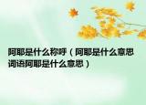 阿耶是什么稱呼（阿耶是什么意思 詞語(yǔ)阿耶是什么意思）