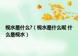 枧水是什么?（枧水是什么呢 什么是枧水）