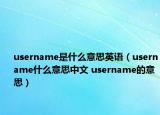 username是什么意思英語(yǔ)（username什么意思中文 username的意思）