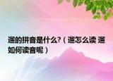 遛的拼音是什么?（遛怎么讀 遛如何讀音呢）