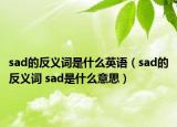 sad的反義詞是什么英語（sad的反義詞 sad是什么意思）