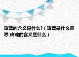 玫瑰的含義是什么?（玫瑰是什么意思 玫瑰的含義是什么）