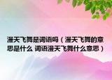 漫天飛舞是詞語嗎（漫天飛舞的意思是什么 詞語漫天飛舞什么意思）