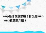 wap是什么意思梗（什么是wap wap的意思介紹）