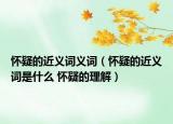 懷疑的近義詞義詞（懷疑的近義詞是什么 懷疑的理解）