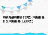 鴨鎖骨是鴨的哪個(gè)部位（鴨鎖骨是什么 鴨鎖骨是什么部位）